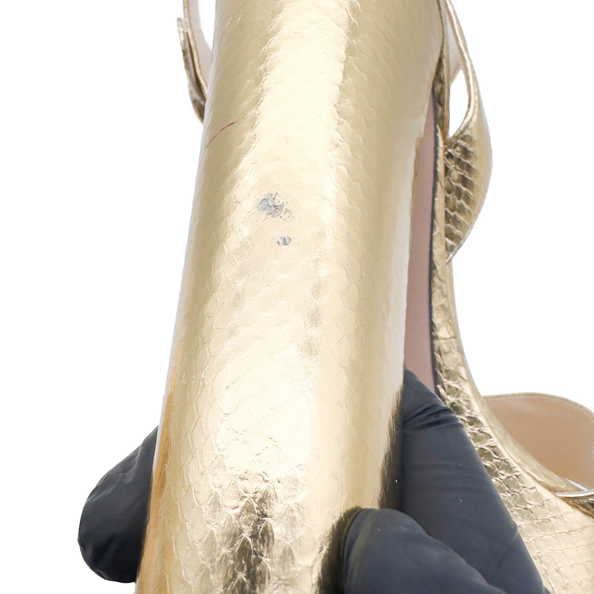 Gold Python-Embossed - PRADA - MISHMASH