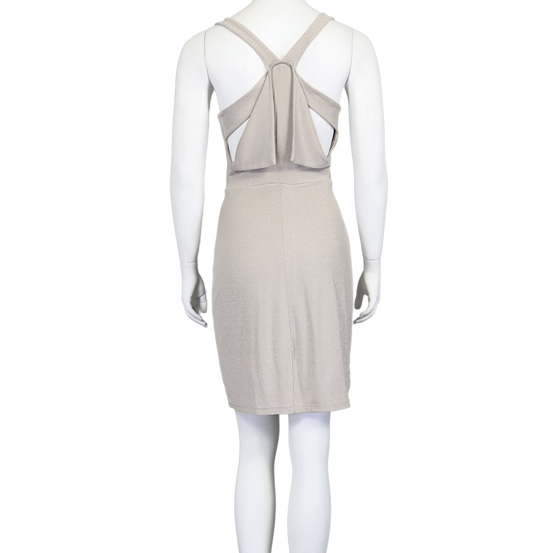Flimsy Halo - BCBGMAXAZRIA Dress - MISHMASH