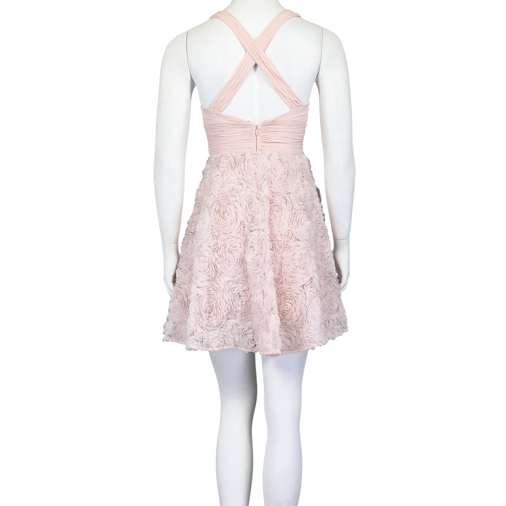 Rosette Waltz - aidan Dress - MISHMASH