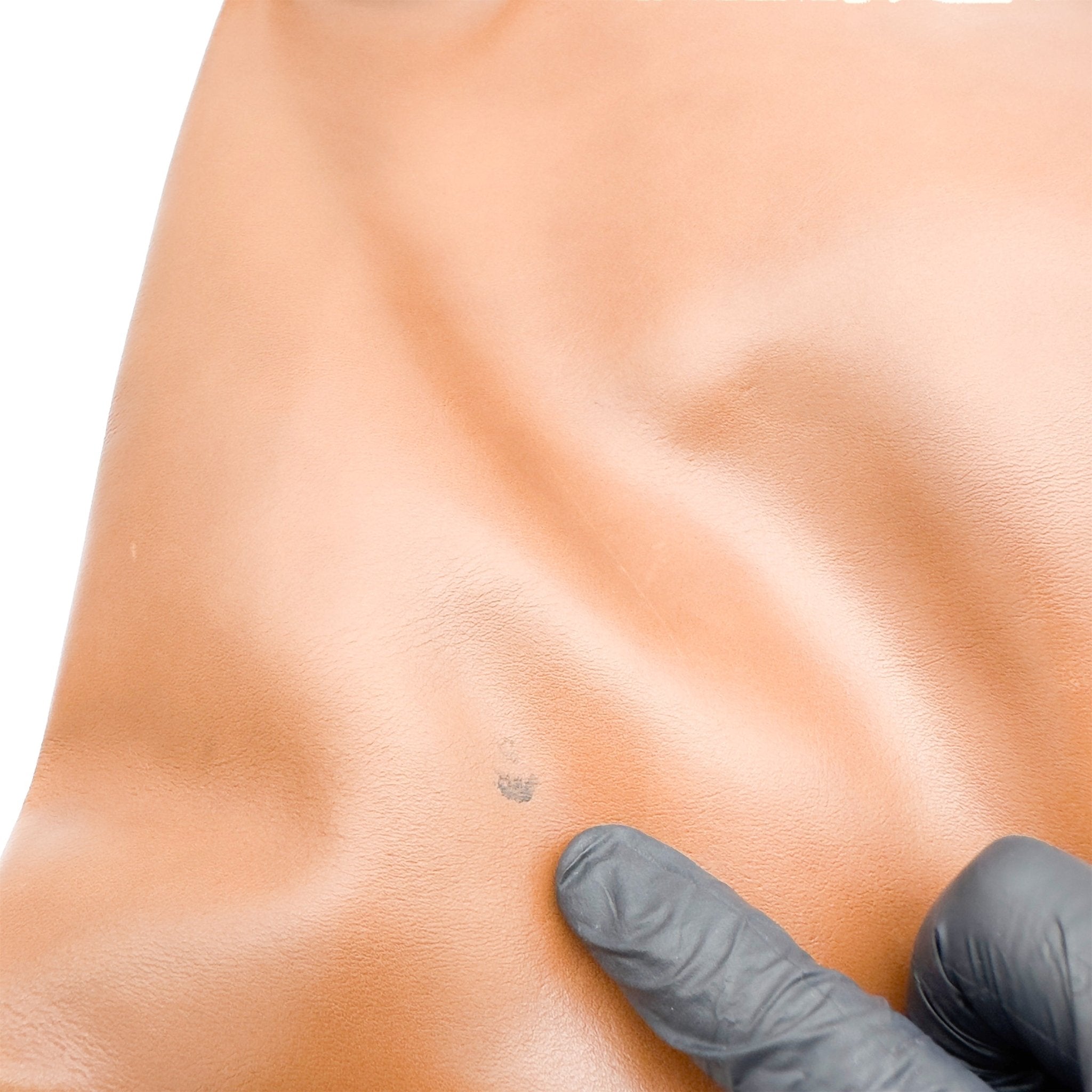 Studded Leather Lennox Tote - Polo Ralph Lauren - MISHMASH