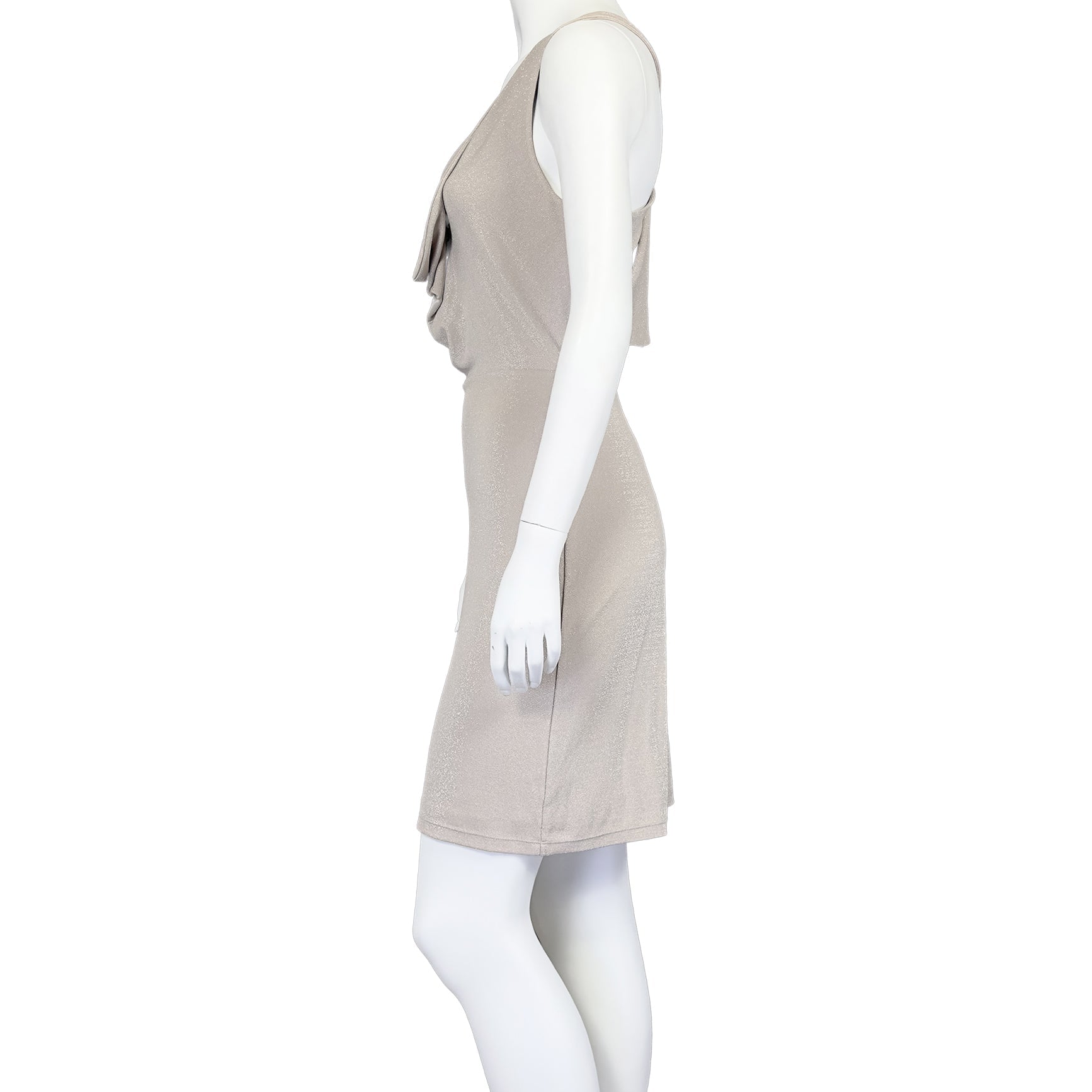 Flimsy Halo - BCBGMAXAZRIA Dress - MISHMASH