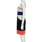 Spectrum Stunner - BCBGMAXAZRIA - MISHMASH