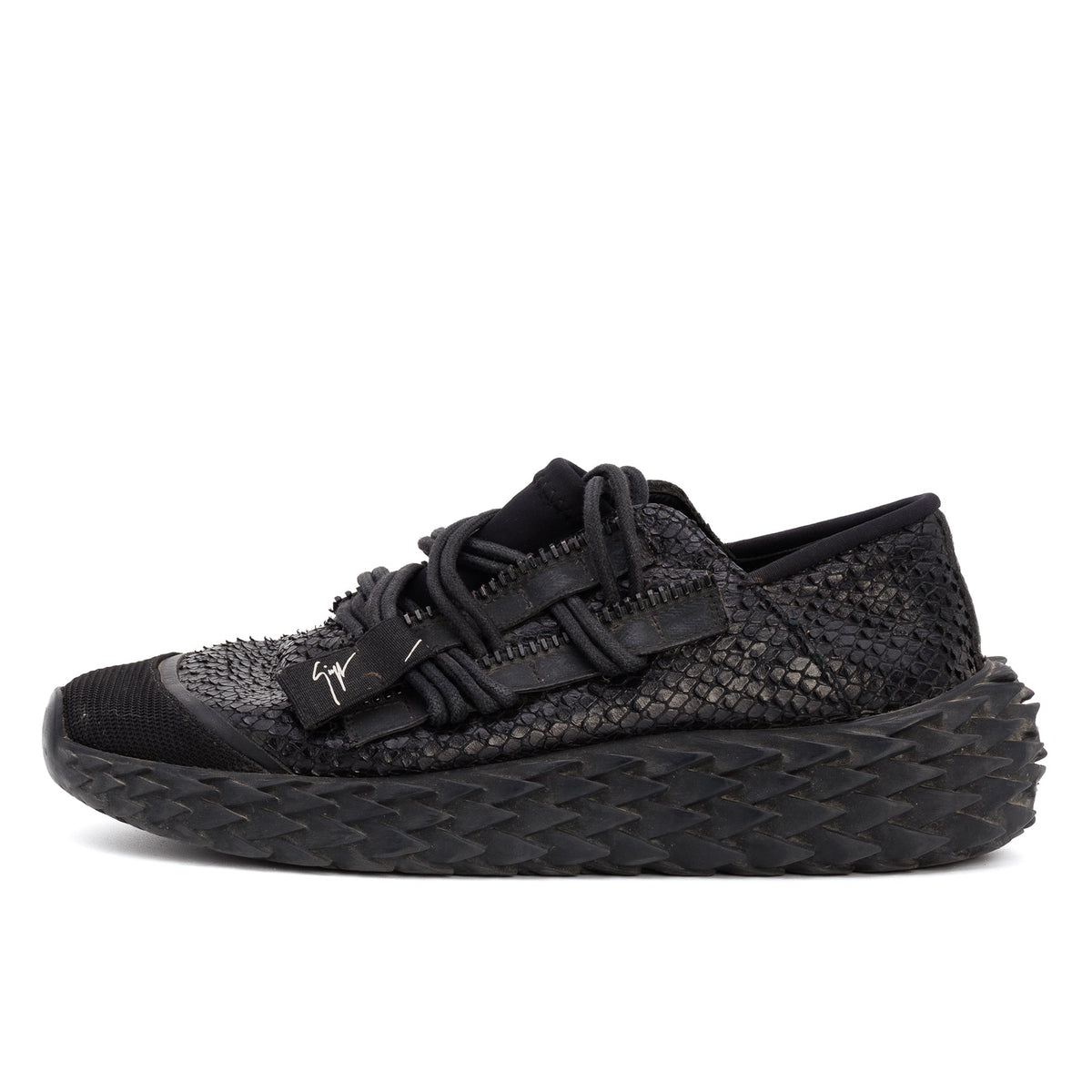 Urchin - GIUSEPPE ZANOTTI - MISHMASH
